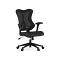Vysoká ergonomícká sieťovaná kancelárska stolička | Nastaviteľné opierky rúk, otočná, čierna